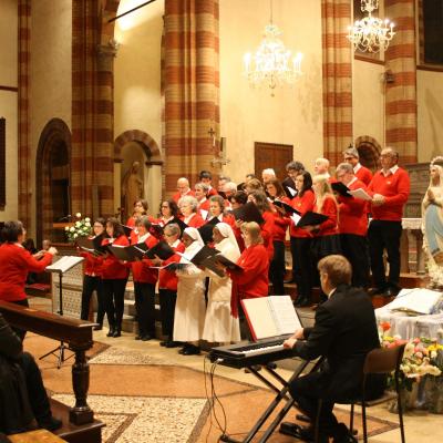 Img 7800