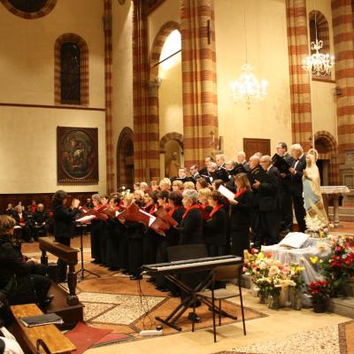 Img 7846